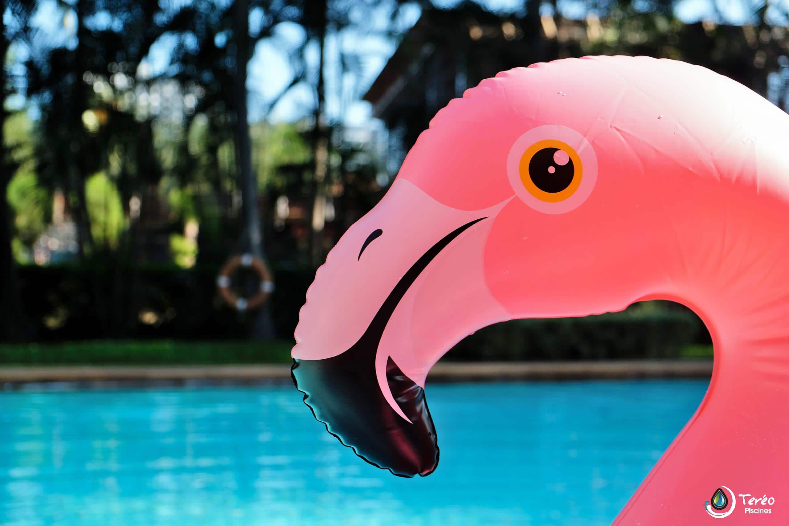 Jeux et accessoires piscine chez Teréo Piscines